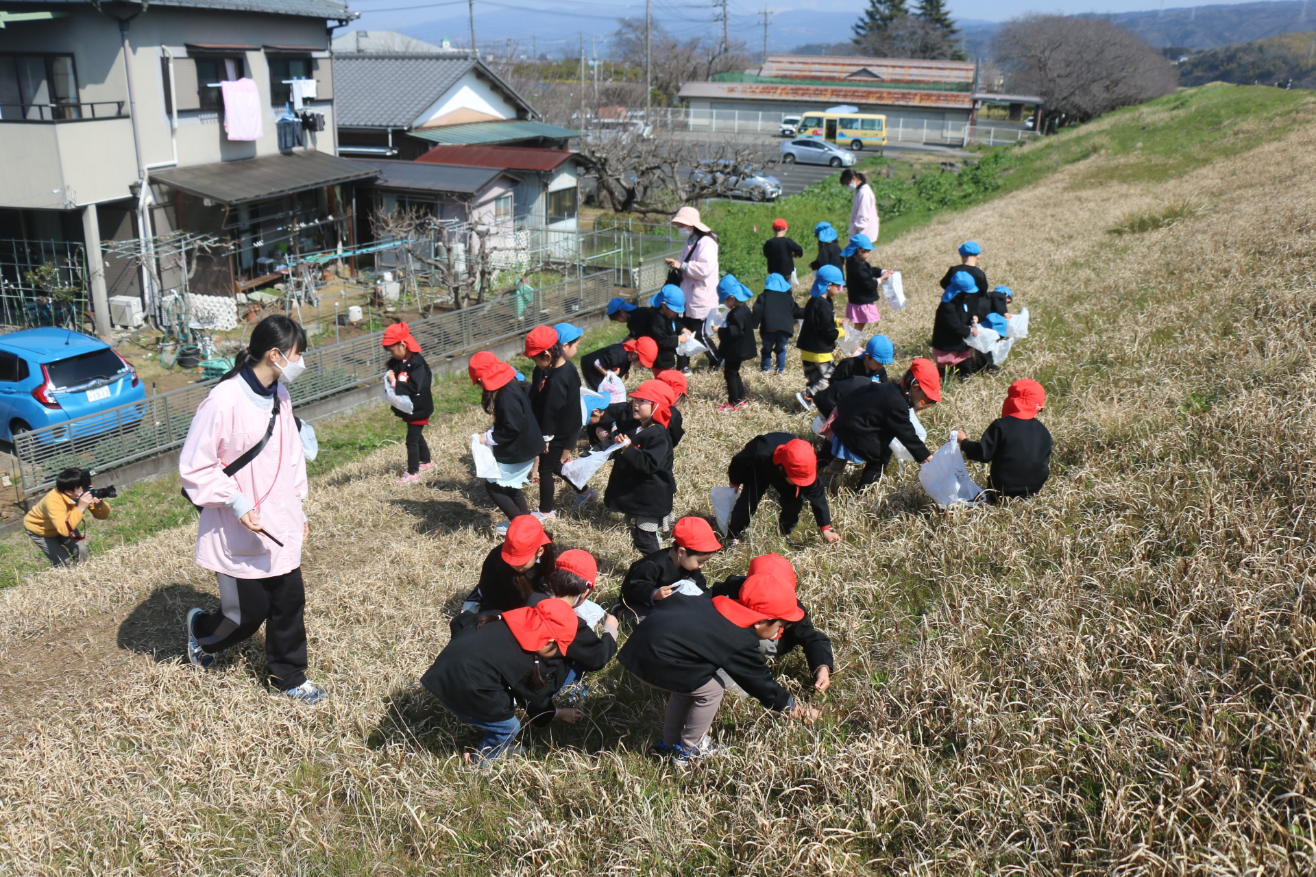 つくしとり